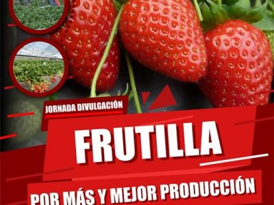 Jornada Frutilla