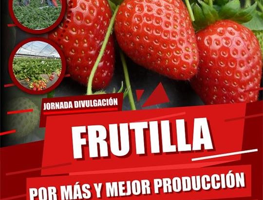 Jornada Frutilla