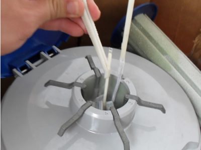 Curso sobre “Inseminación artificial en vacunos”