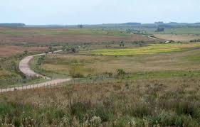 Jornada:”Evaluando las ventajas y desventajas del campo natural en épocas de escasez forrajera