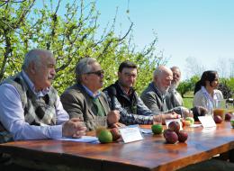 Programa de manejo de plagas reduce 90 % la aplicación de agroquímicos en frutas