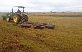 Planificando una buena implantación de mejoramientos de campo natural