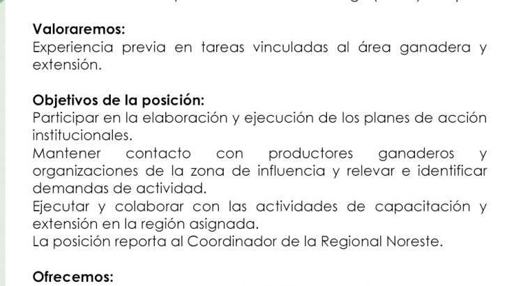 Llamado abierto – Técnico Regional para Cerro Largo