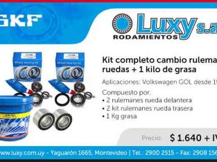 Kit cambio de Rulemanes