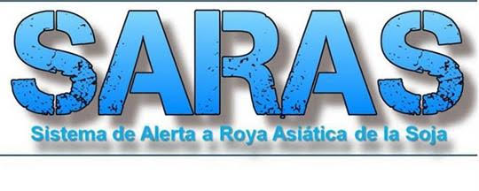 A L E R T A: Primer positivo de roya