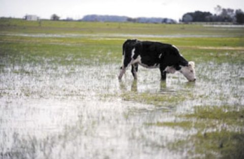 Algunas recomendaciones en caso de inundaciones