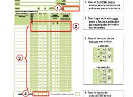 SNIG solicita la entrega de Formularios de Registro de Animales Bovinos (D1)