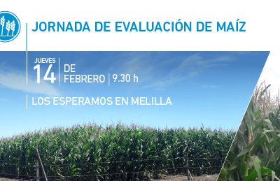 Jornada de evaluación de maíz