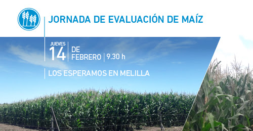 Jornada de evaluación de maíz