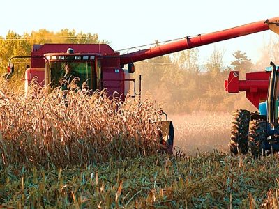 Precios sugeridos de labores agrícolas período Febrero – Agosto 2019