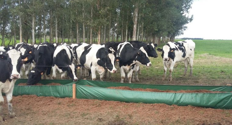 Curso:“Operario de Sistemas Intensivos de Producción de Carne”