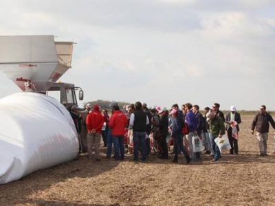 Poscosecha de granos en silo bolsa