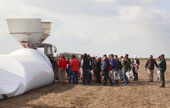 Poscosecha de granos en silo bolsa