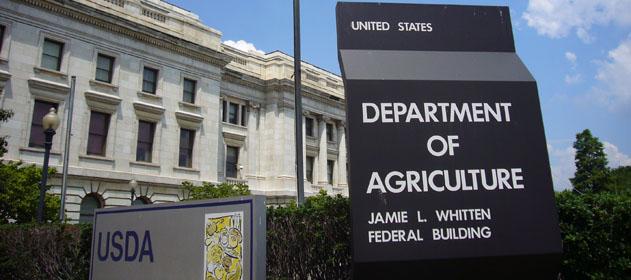 Sin grandes cambios para el trigo según el USDA