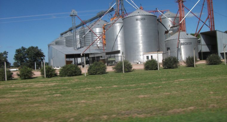 Fuerte descenso del stock de trigo en Uruguay