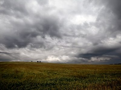 Se reafirma probabilidad de que El Niño continúe en invierno y primavera