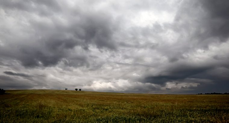 Se reafirma probabilidad de que El Niño continúe en invierno y primavera