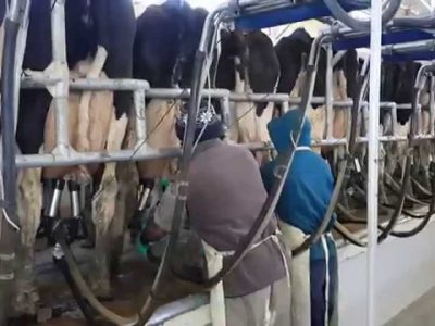 En Marzo poder de compra de la leche cayó 10% interanual