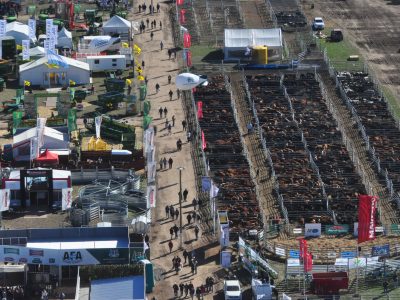 La Ganadería suma atractivos en Agroactiva