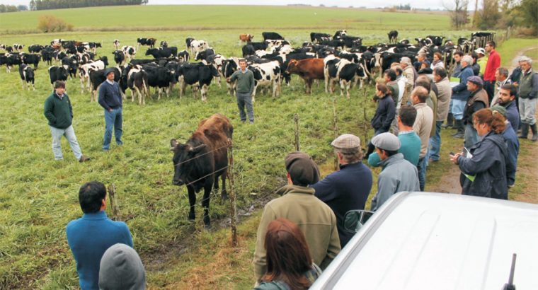 “Manejo de pasturas en predios ganaderos y lecheros”