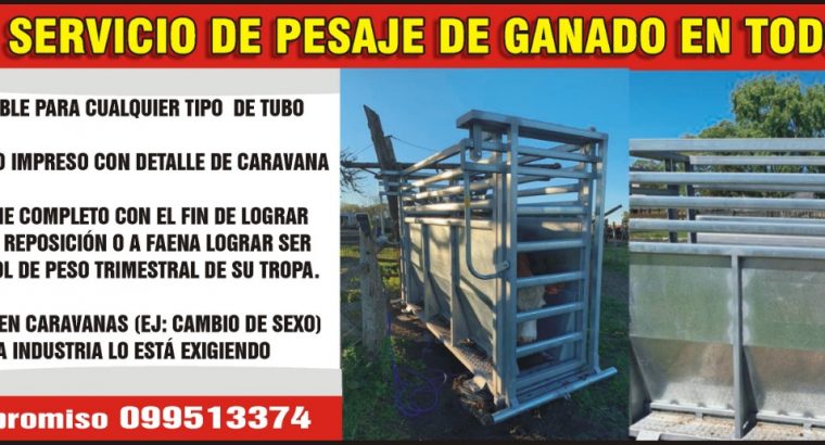 Servicio de pesaje de Ganado