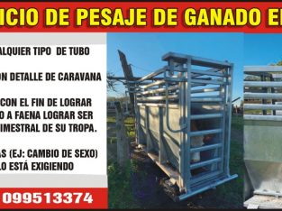 Servicio de pesaje de Ganado