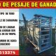 Servicio de pesaje de Ganado