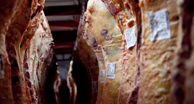 ﻿Exportaciones uruguayas de carne vacuna caen en agosto