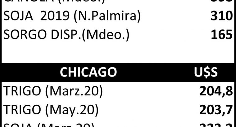 Aumentos para la soja por segunda jornada consecutiva en Chicago