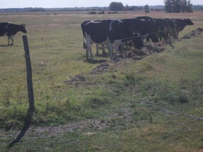 Emergencia agropecuaria por déficit hídrico, recomendaciones