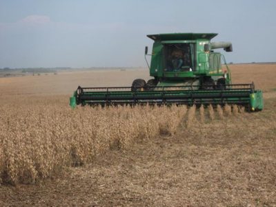 Agricultura hoy en Uruguay﻿