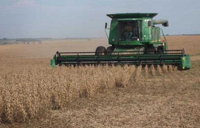 Agricultura hoy en Uruguay﻿