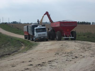 Protocolos de seguridad contra el coronavirus para la cadena agrícola