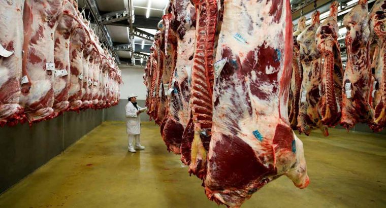 Foro Mercosur de la Carne