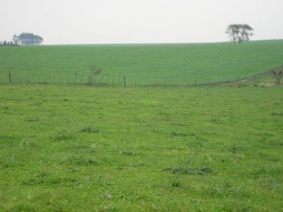 Jornada de Campo Genética Forrajera y Manejo