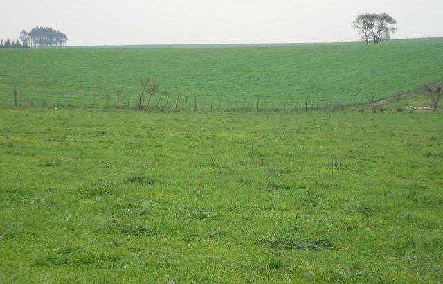 Manejo de Pasturas Sembradas