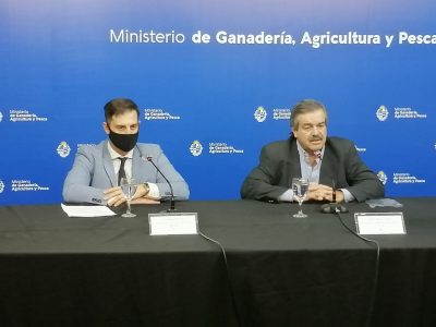 Situación actual de la cosecha de cultivos de verano y perspectivas para los cultivos de invierno