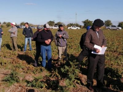 Ministro Uriarte visitó campos de productores de papa en San José