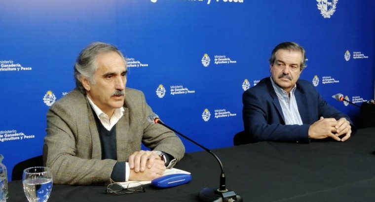 Comienza vacunación obligatoria contra Fiebre Aftosa en bovinos menores de 2 años