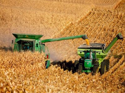 Caería la producción de maíz en Brasil