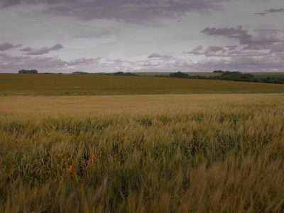 Acreditación de Ingenieros Agrónomos para elaborar Planes de Uso y Manejo de Suelos