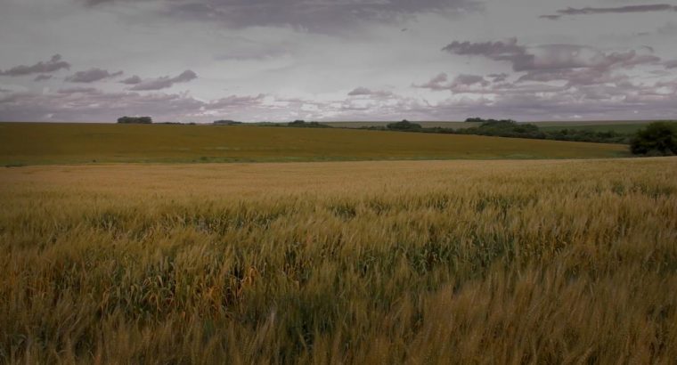 Acreditación de Ingenieros Agrónomos para elaborar Planes de Uso y Manejo de Suelos