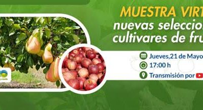 Nuevos cultivares frutícolas