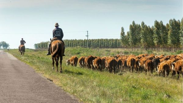 Extensión del área de emergencia agropecuaria