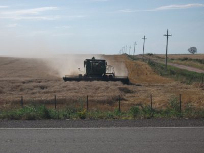 Brasil busca ampliar cuota de importación fuera del Mercosur