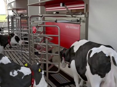 Lely compró la empresa Milkalyser para incorporar tecnología