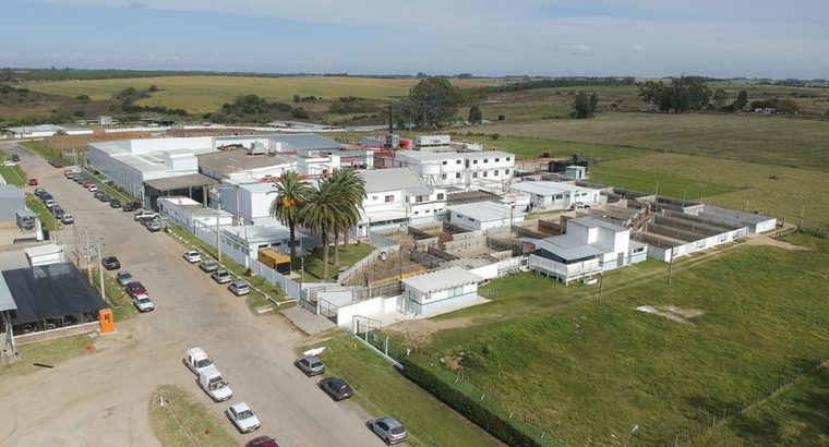 Trabajadores de Matadero Rosario serán recibidos por Ministros del Gobierno