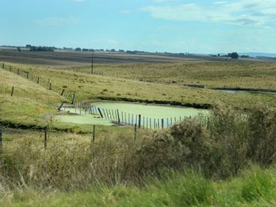 Inscripción para arrendar tierras del INC