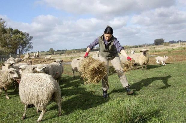 Llamado a organizaciones, colectivos y grupos de mujeres rurales