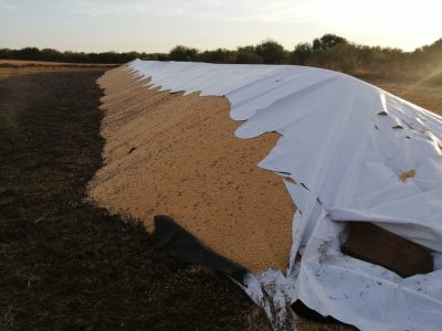 Ataque a silobolsas en un campo de Entre Ríos